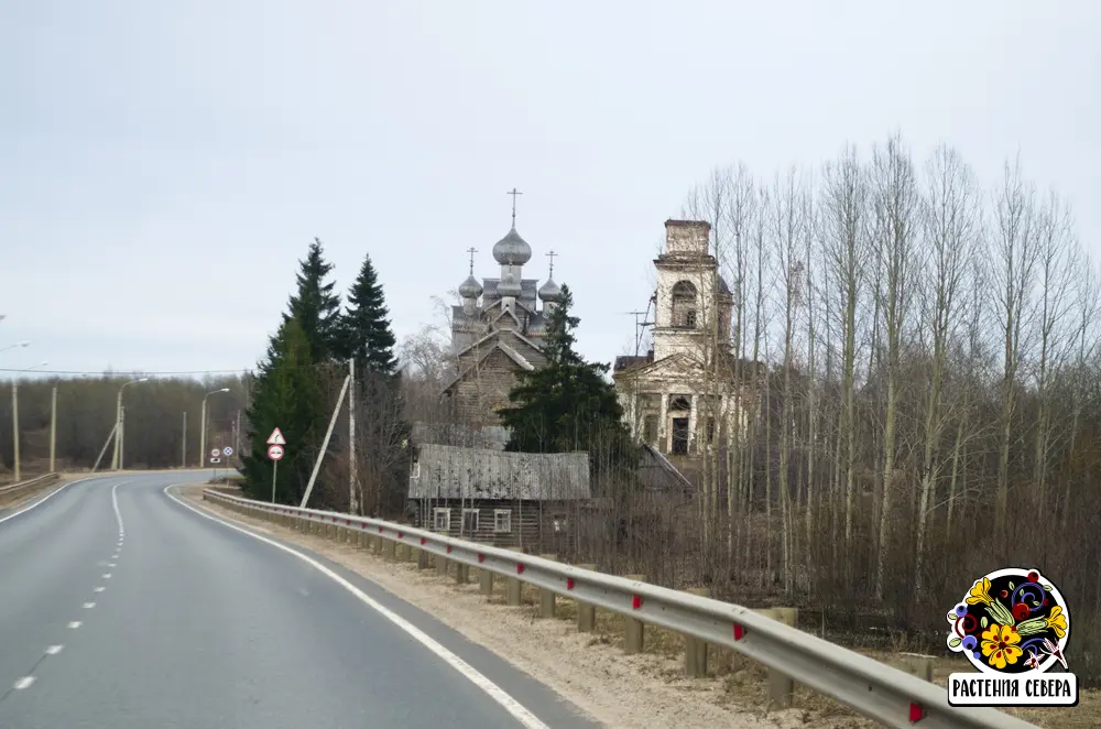 Палтога в начале апреля