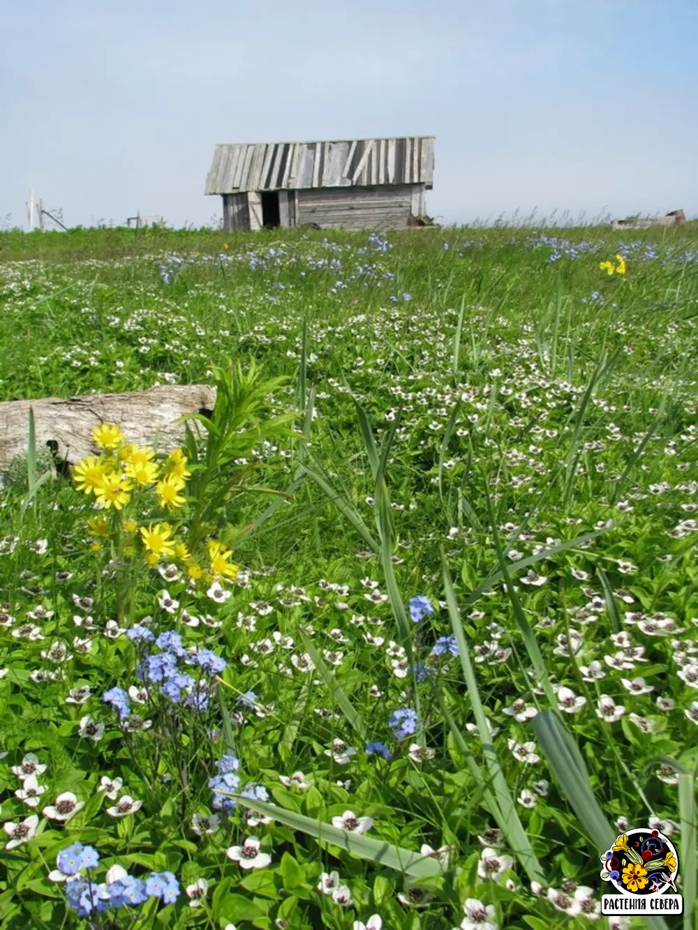 Кольский полуостров, Белое море